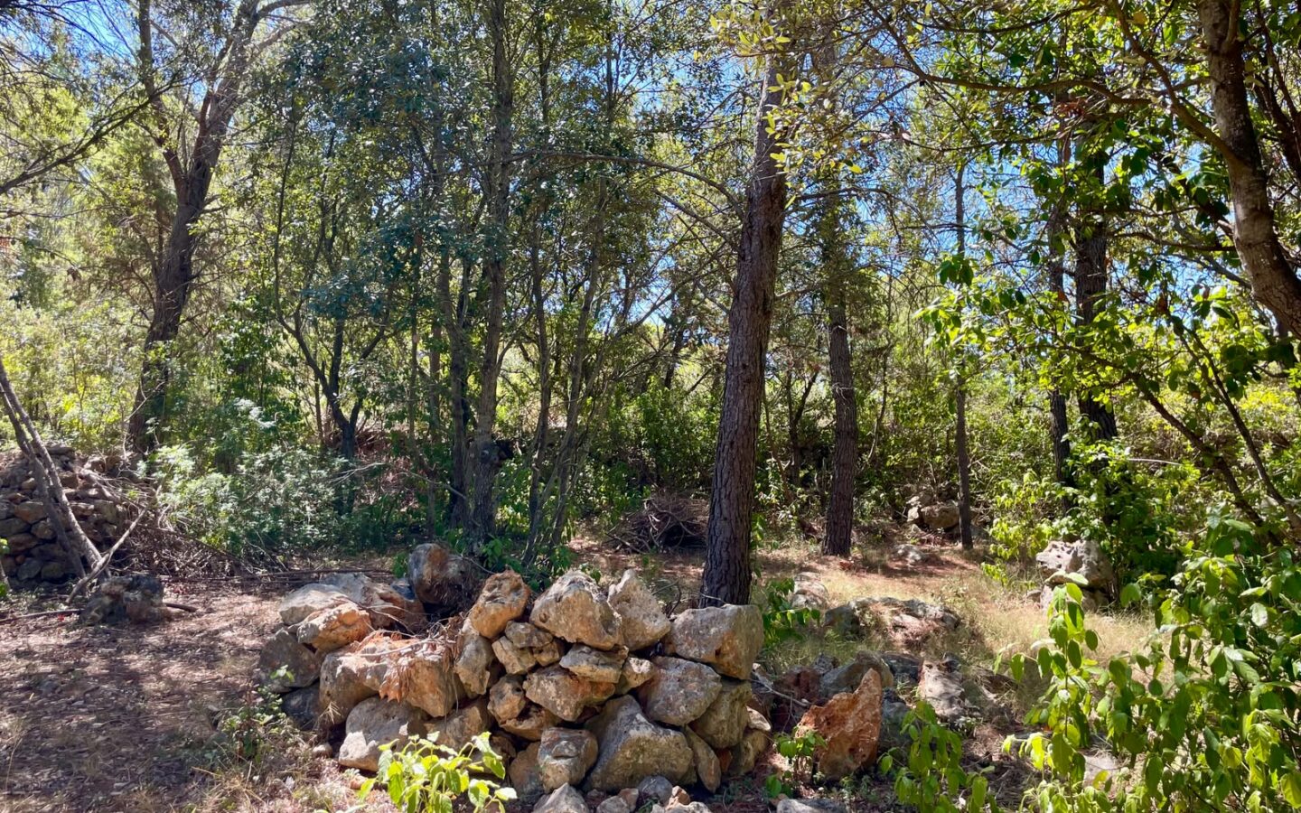 Forest Shade, Lavender And Fruit Trees: Your Own Small Piece Of Hvar