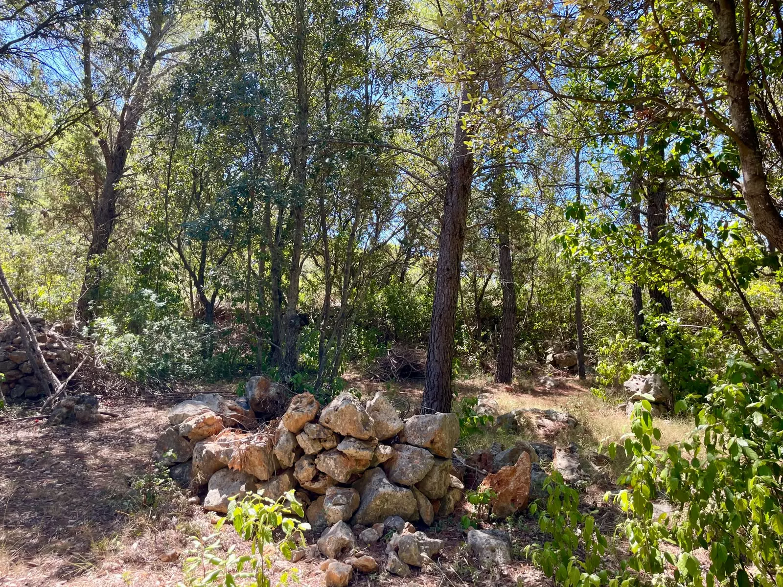 Forest Shade, Lavender And Fruit Trees: Your Own Small Piece Of Hvar