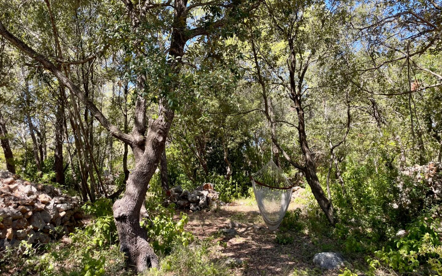Forest Shade, Lavender And Fruit Trees: Your Own Small Piece Of Hvar