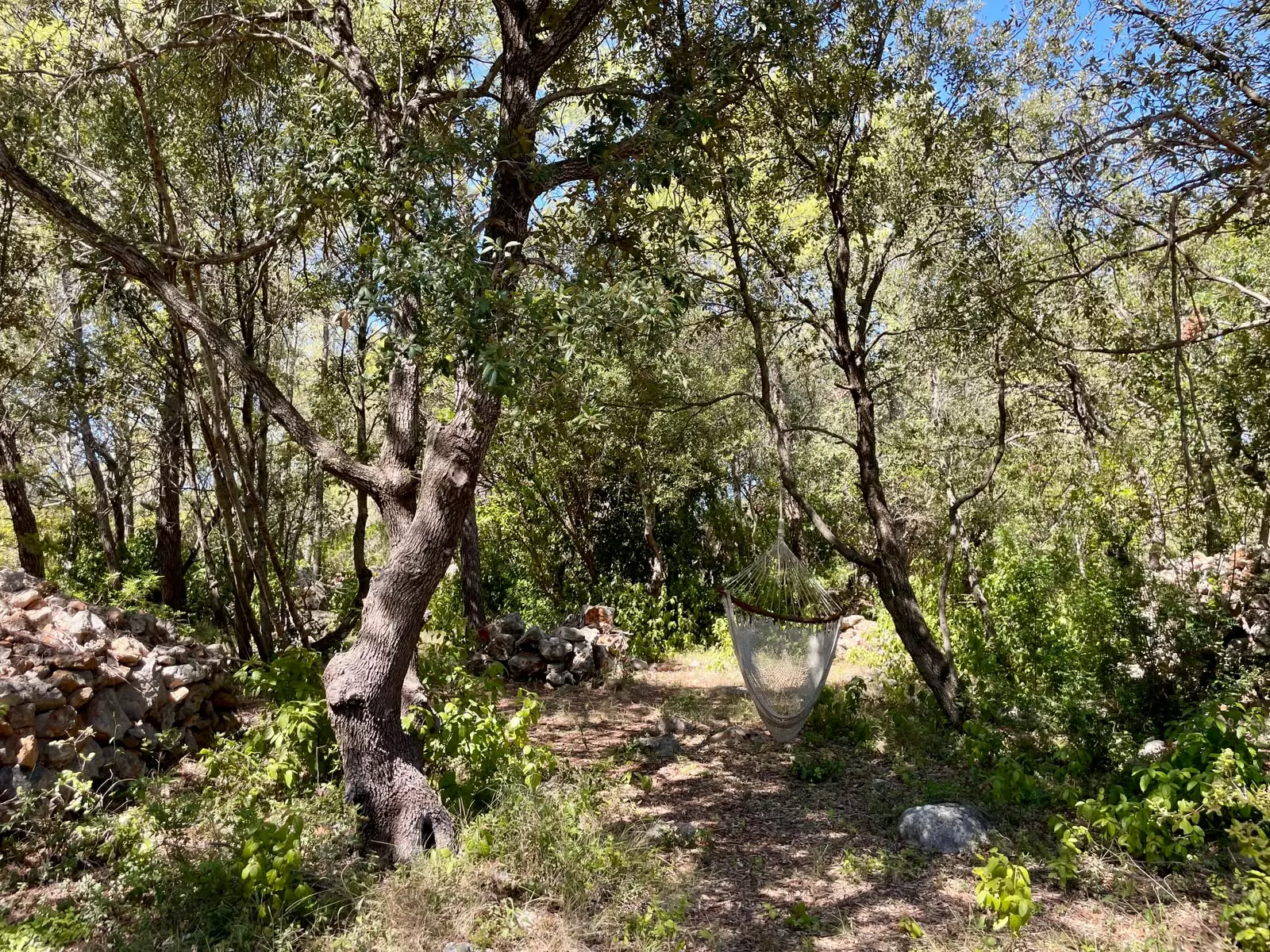 Forest Shade, Lavender And Fruit Trees: Your Own Small Piece Of Hvar