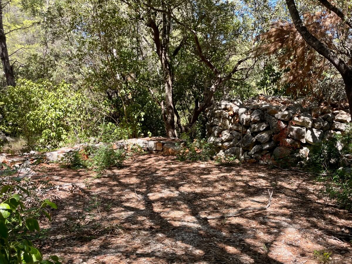 Forest Shade, Lavender And Fruit Trees: Your Own Small Piece Of Hvar