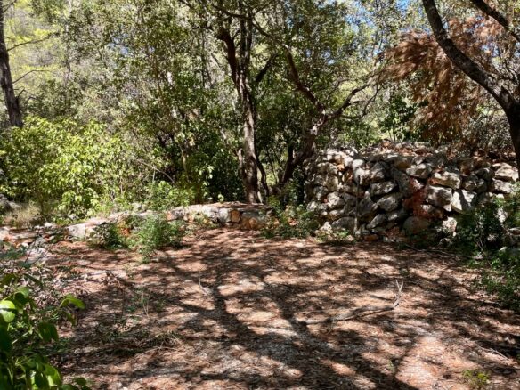 Forest Shade, Lavender And Fruit Trees: Your Own Small Piece Of Hvar