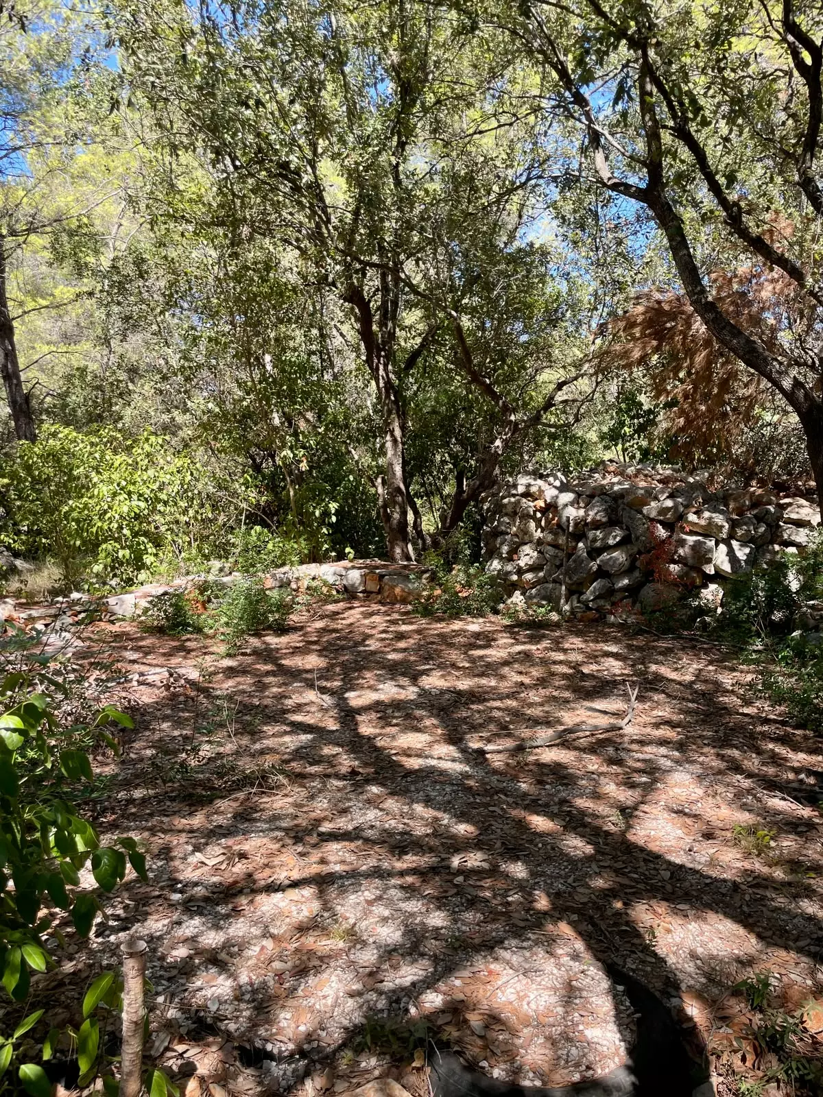 Forest Shade, Lavender And Fruit Trees: Your Own Small Piece Of Hvar
