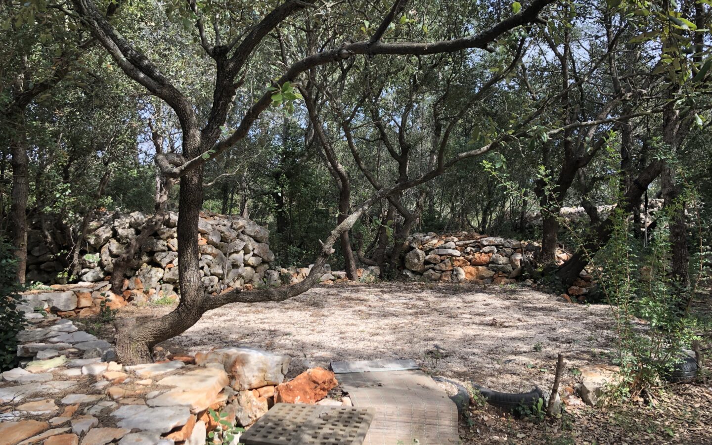 Forest Shade, Lavender And Fruit Trees: Your Own Small Piece Of Hvar