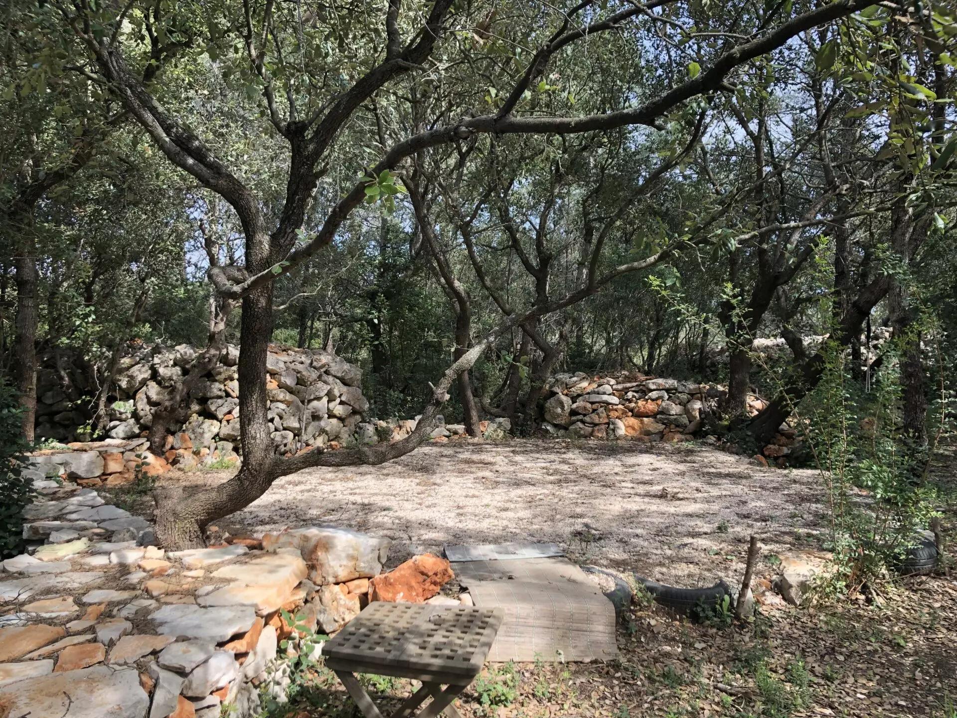 Forest Shade, Lavender And Fruit Trees: Your Own Small Piece Of Hvar