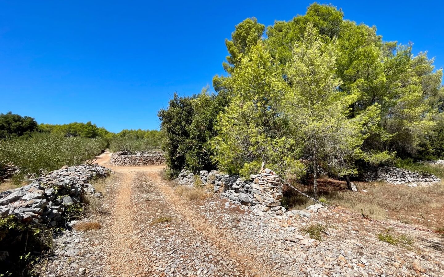 Forest Shade, Lavender And Fruit Trees: Your Own Small Piece Of Hvar