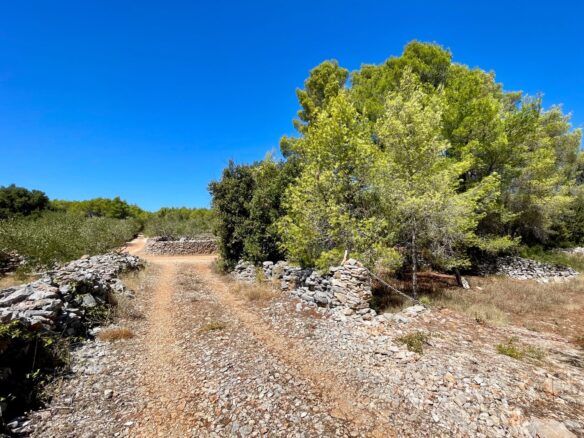 Forest Shade, Lavender And Fruit Trees: Your Own Small Piece Of Hvar