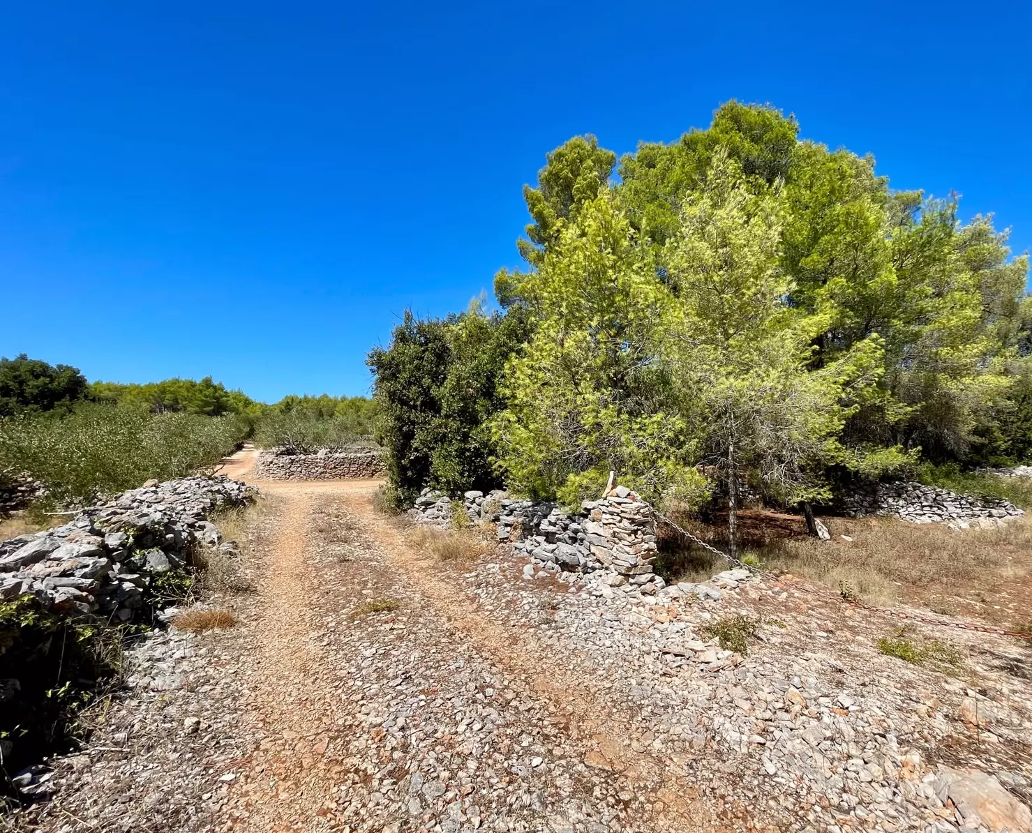 Forest Shade, Lavender And Fruit Trees: Your Own Small Piece Of Hvar