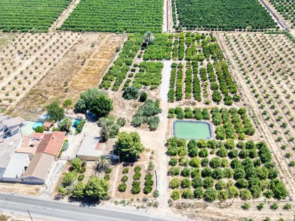 4-bedroom Villa In Orihuela, Spain (443 M²)