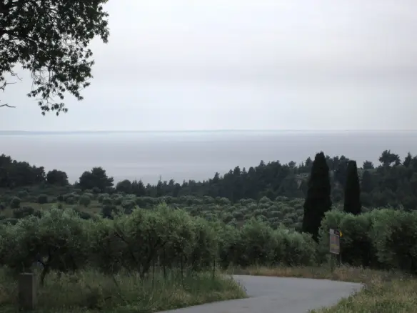 Land Of 480 M² In Sithonia, Chalkidiki