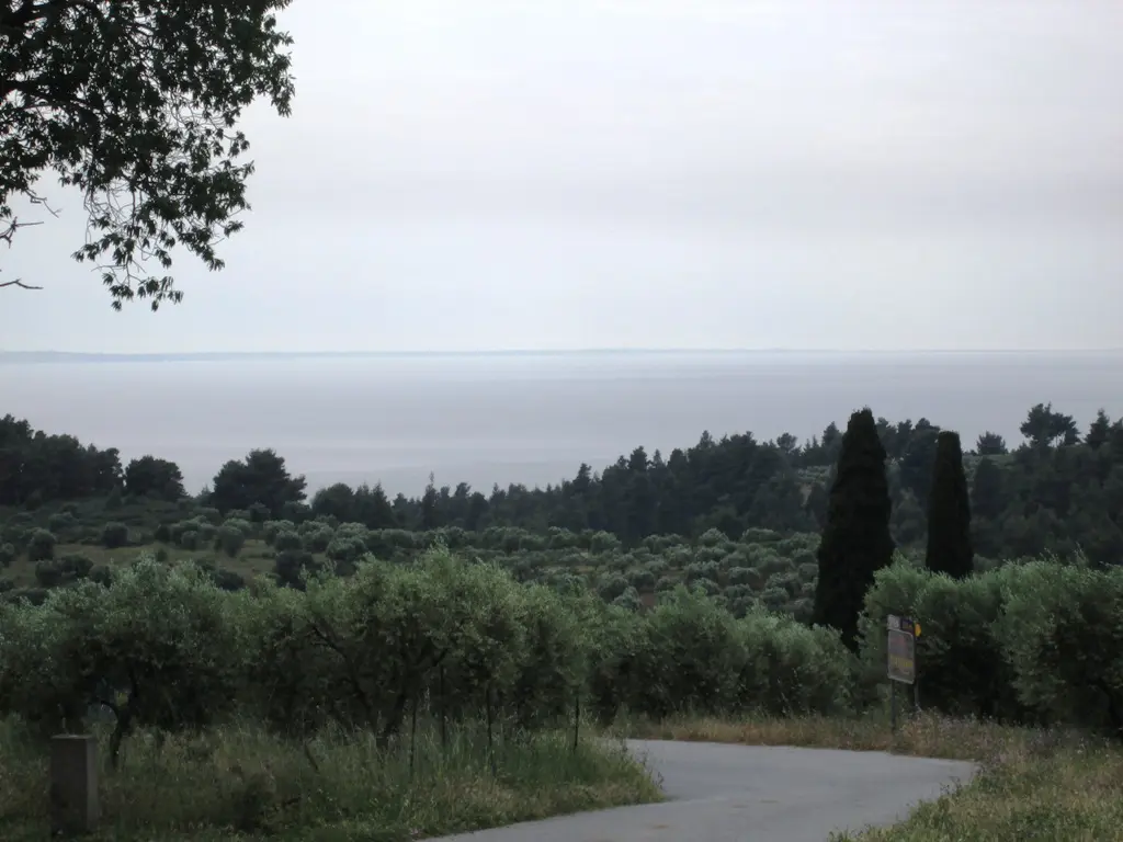 Land Of 480 M² In Sithonia, Chalkidiki