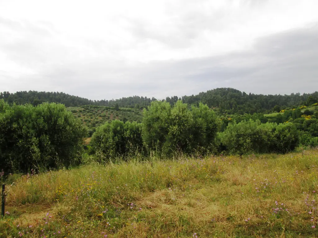 Land Of 480 M² In Sithonia, Chalkidiki