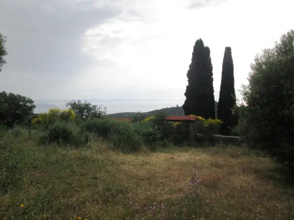 Land In Sithonia, Greece