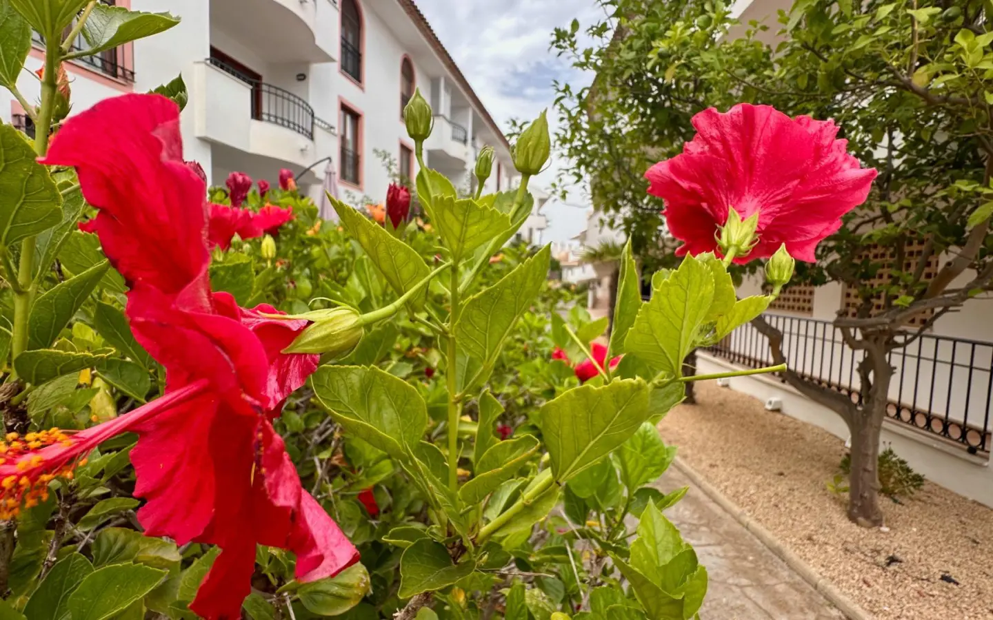 Apartment Of 63 M² In L’alfas Del Pi, Spain