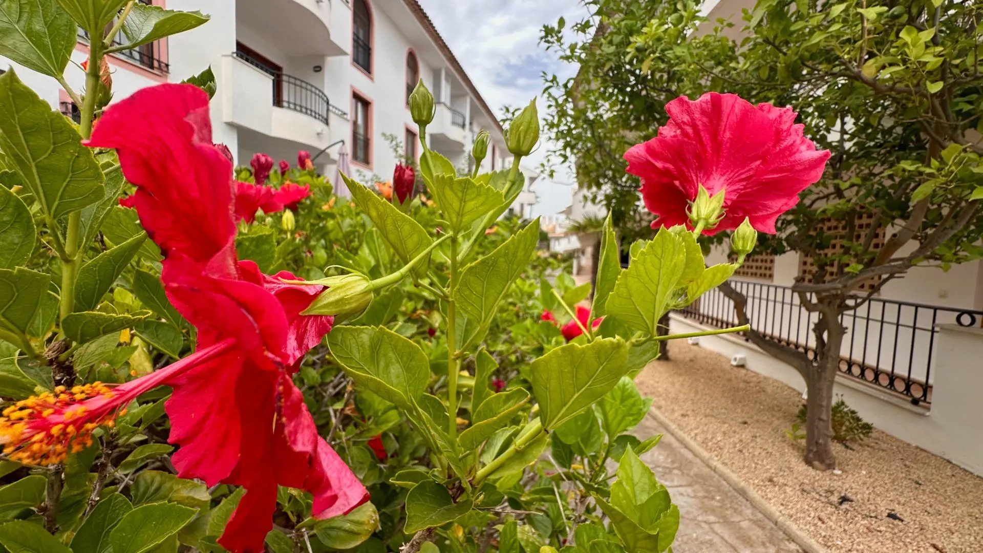 Apartment Of 63 M² In L’alfas Del Pi, Spain