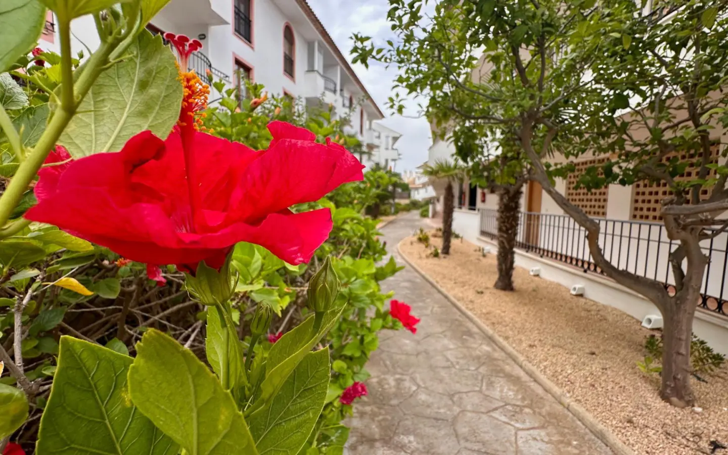Apartment Of 63 M² In L’alfas Del Pi, Spain