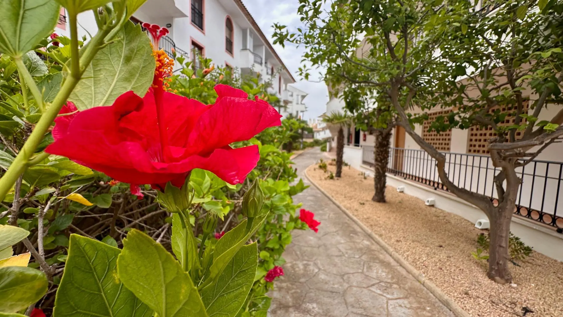 Apartment Of 63 M² In L’alfas Del Pi, Spain