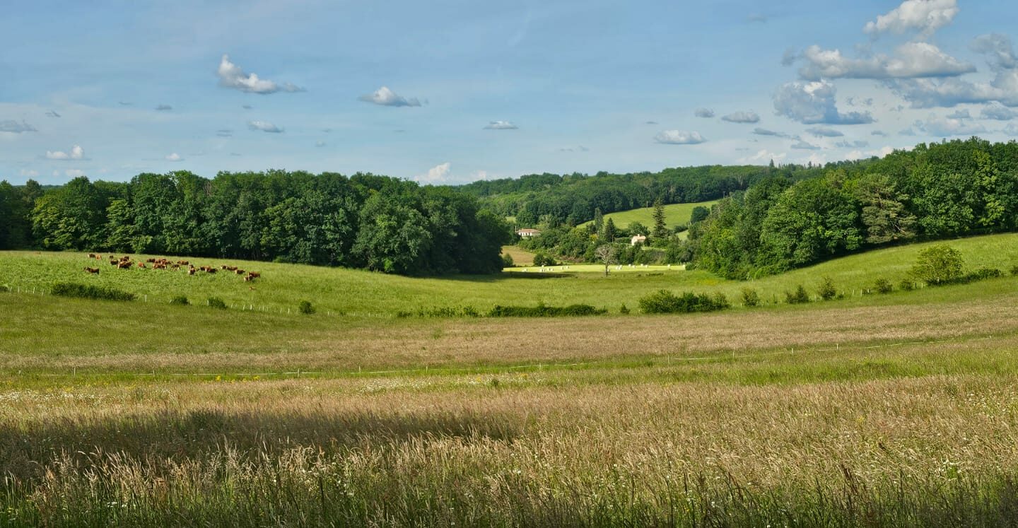 House Of 1250 M² With No Overlooking Neighbors In Dordogne