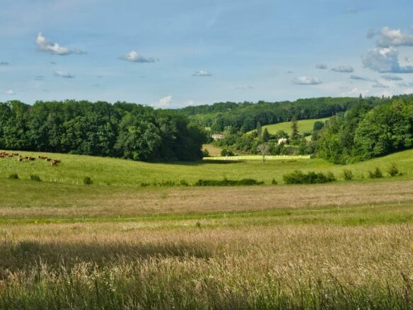 House Of 1250 M² With No Overlooking Neighbors In Dordogne