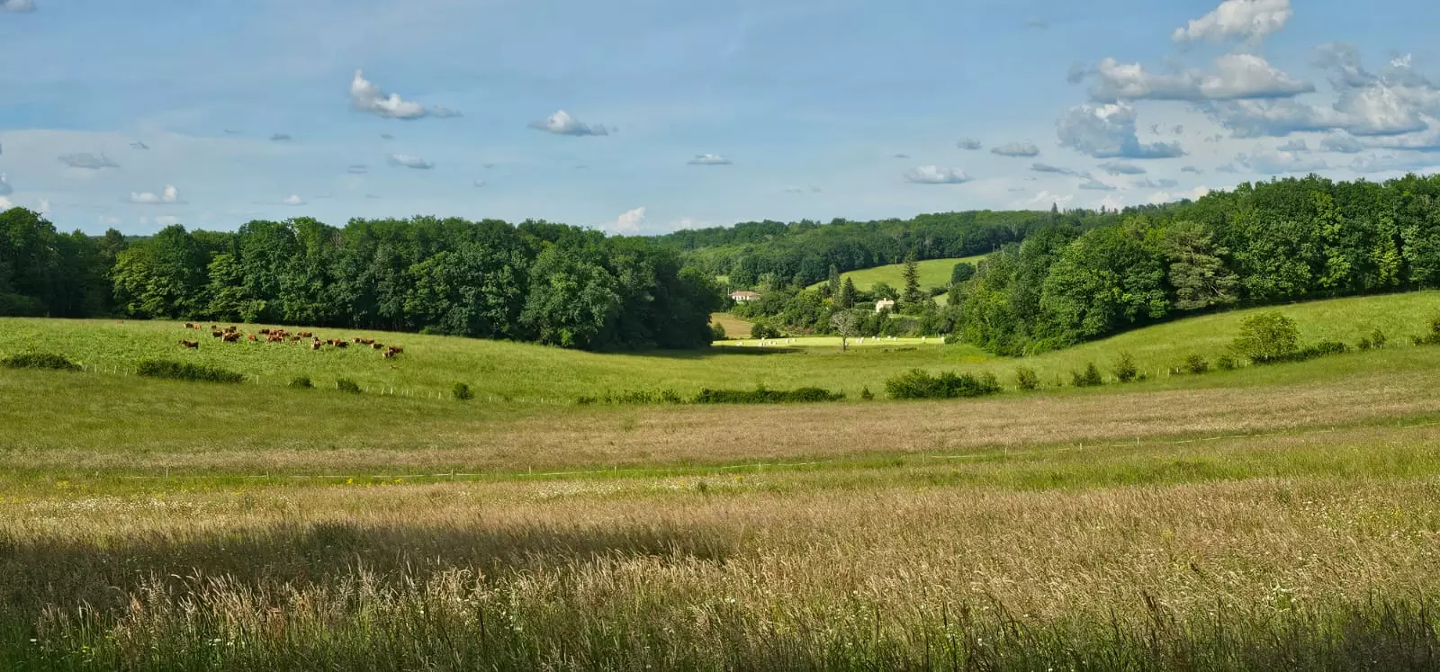 House Of 1250 M² With No Overlooking Neighbors In Dordogne