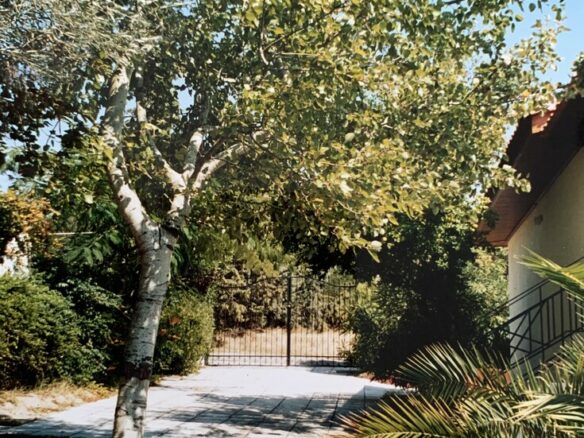 2-bedroom Detached House In Nea Propontida, Greece (65 M²)