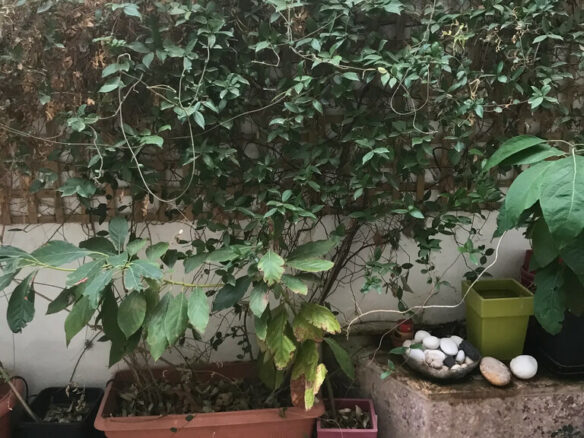 2-bedroom Flat In Ilioupoli, Greece (80 M²)