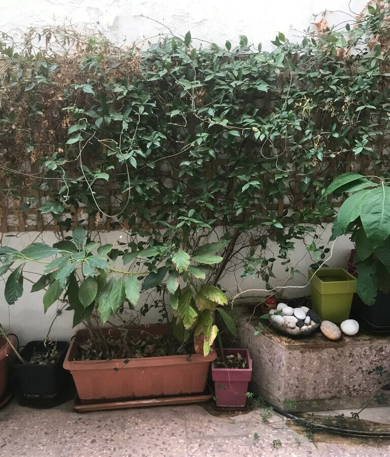 For Sale Flat 80 M² In Athens