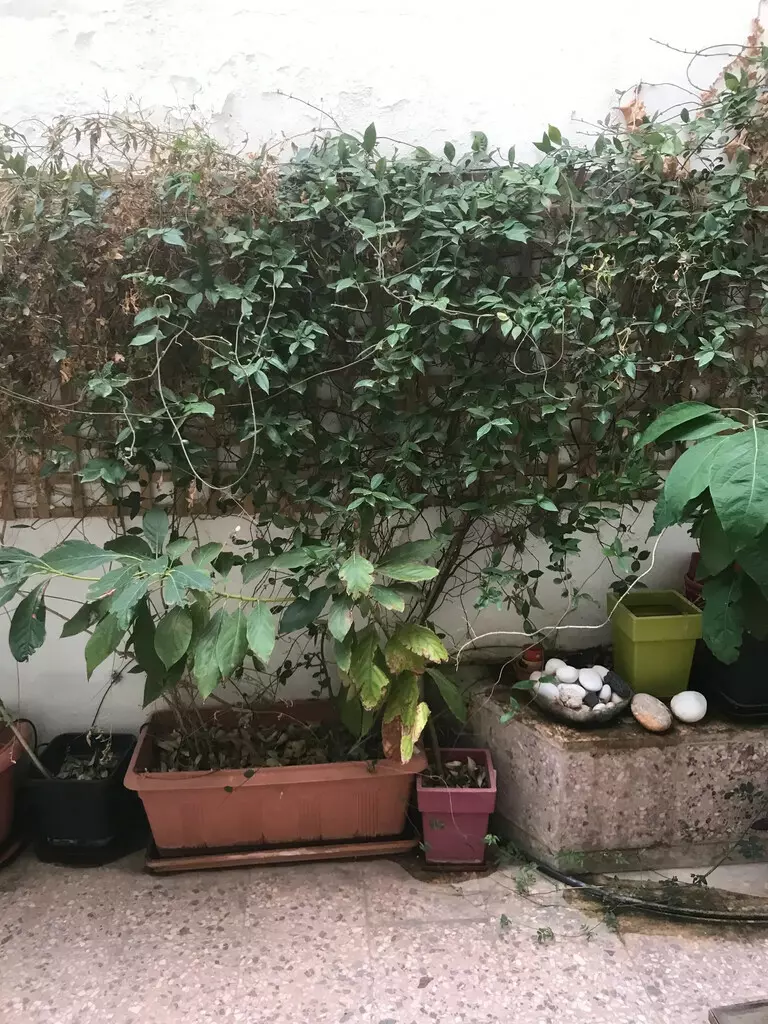For Sale Flat 80 M² In Athens