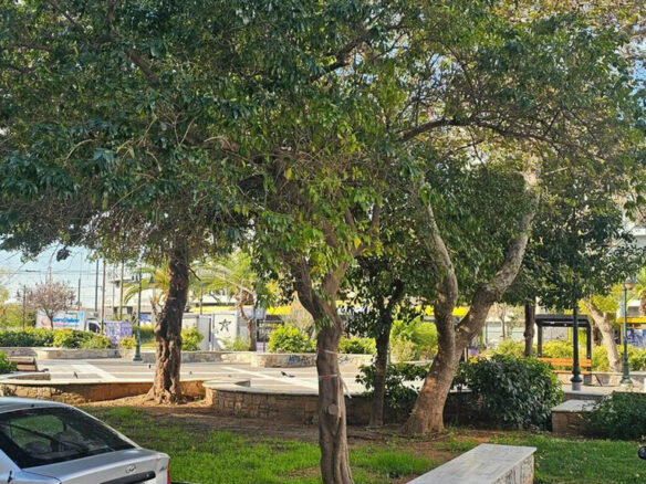 Commercial Property In Kalithea, Greece (274 M²)