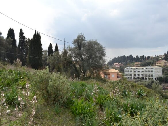 Land In Corfu, Greece