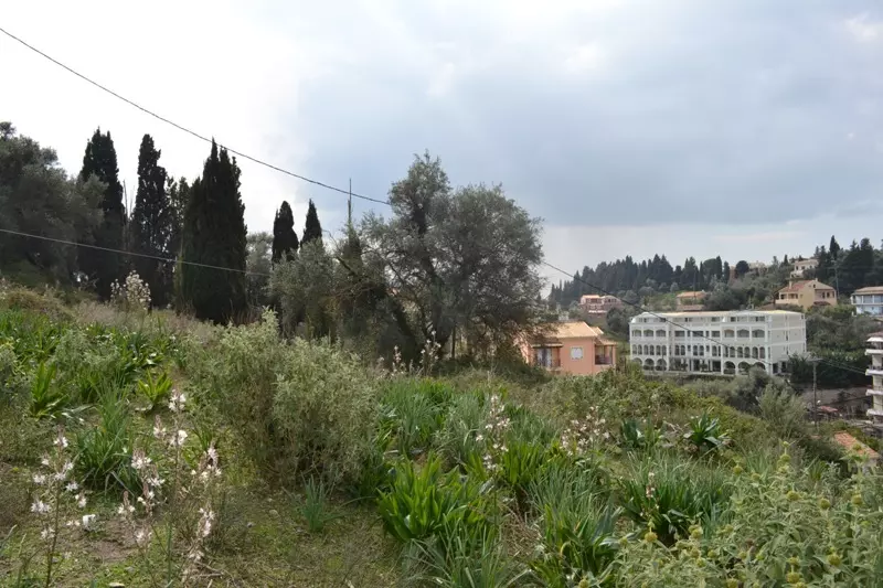 Land Of 2300 M² In Corfu