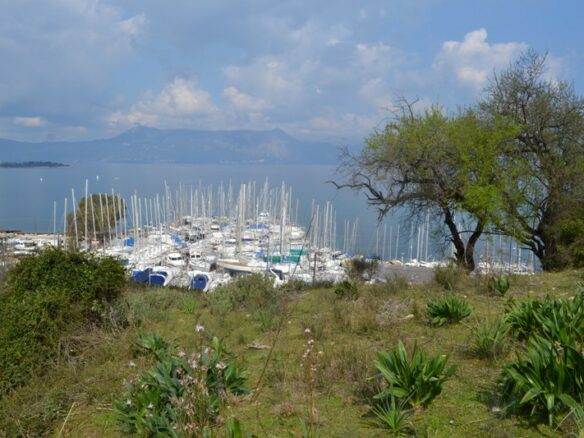Land In Corfu, Greece