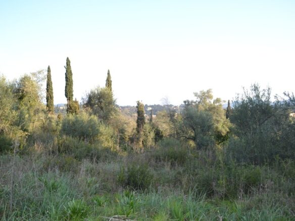 Land In Corfu, Greece