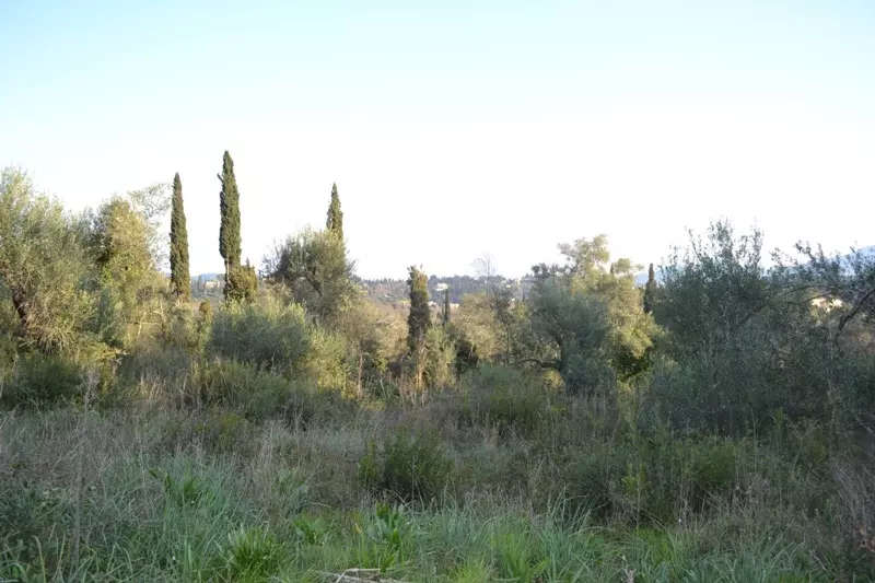 For Sale Land 13500 M² In Corfu