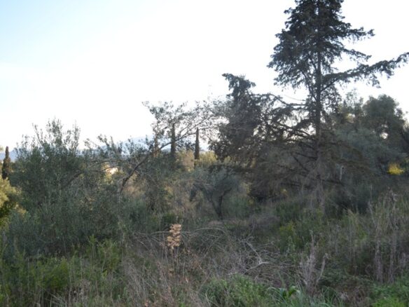 Land In Corfu, Greece