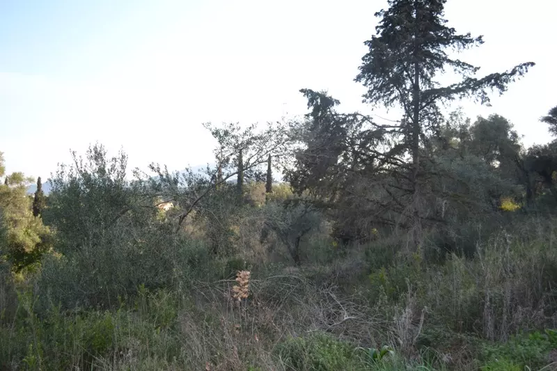 For Sale Land 13500 M² In Corfu