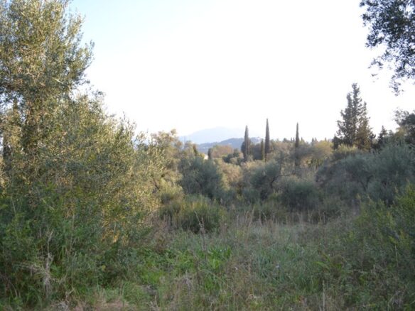 Land In Corfu, Greece