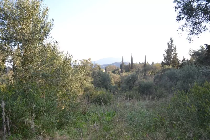 For Sale Land 13500 M² In Corfu