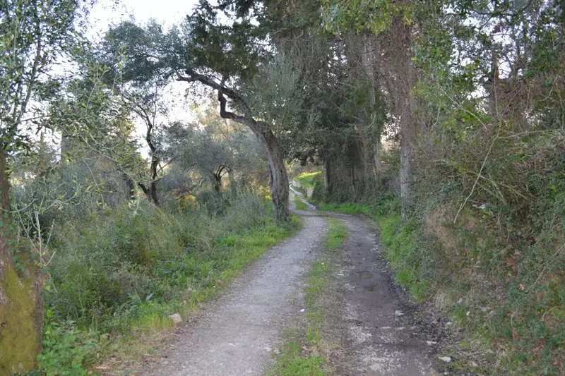 For Sale Land 13500 M² In Corfu