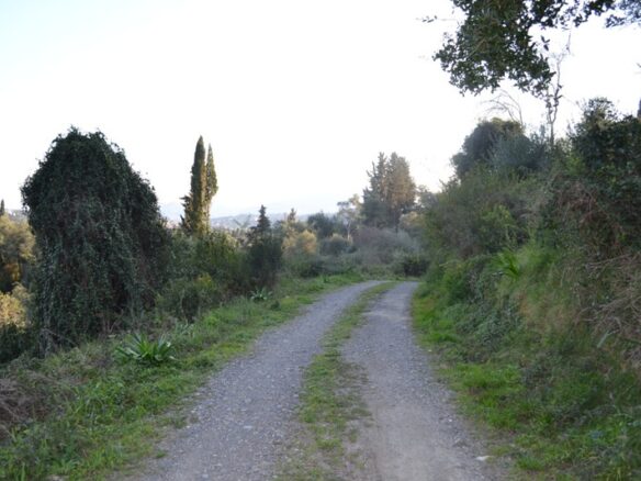 Land In Corfu, Greece