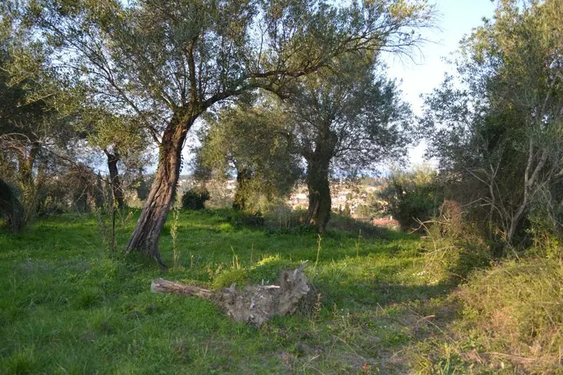 Land In Corfu, Greece