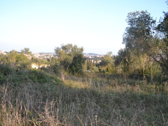 Land In Corfu, Greece