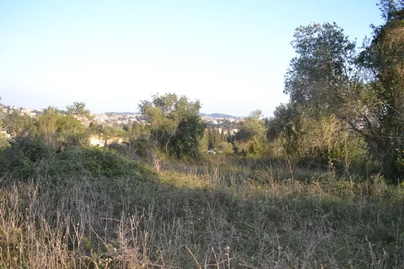Land In Corfu, Greece