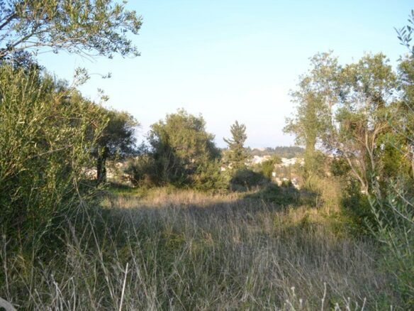 Land In Corfu, Greece
