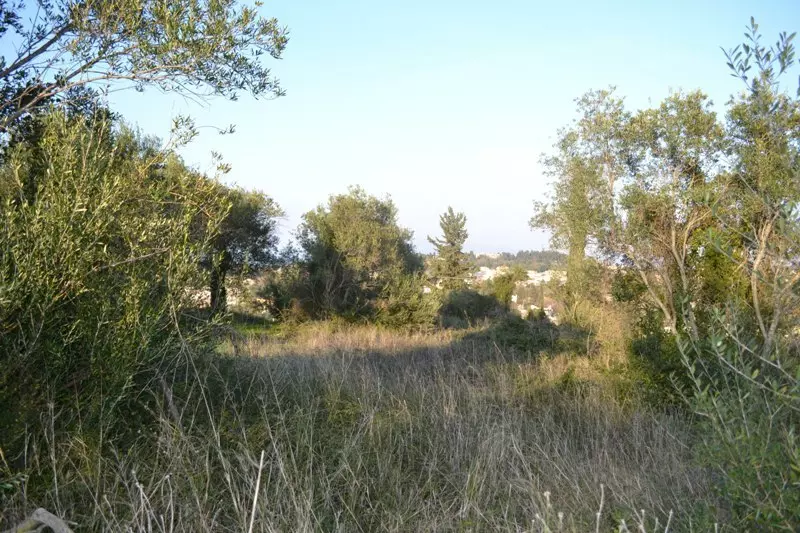 Land In Corfu, Greece