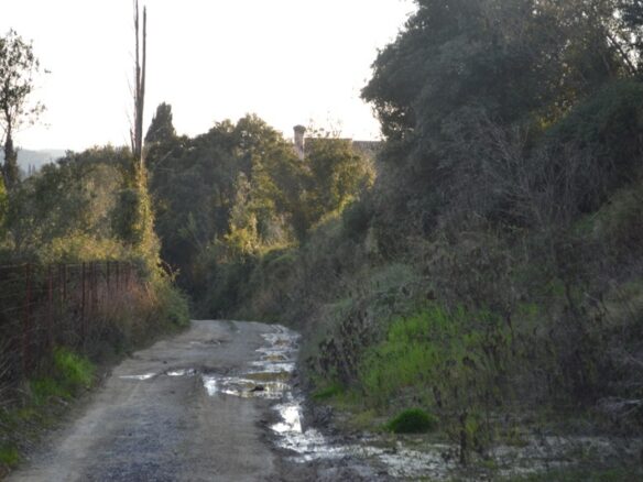 Land In Corfu, Greece