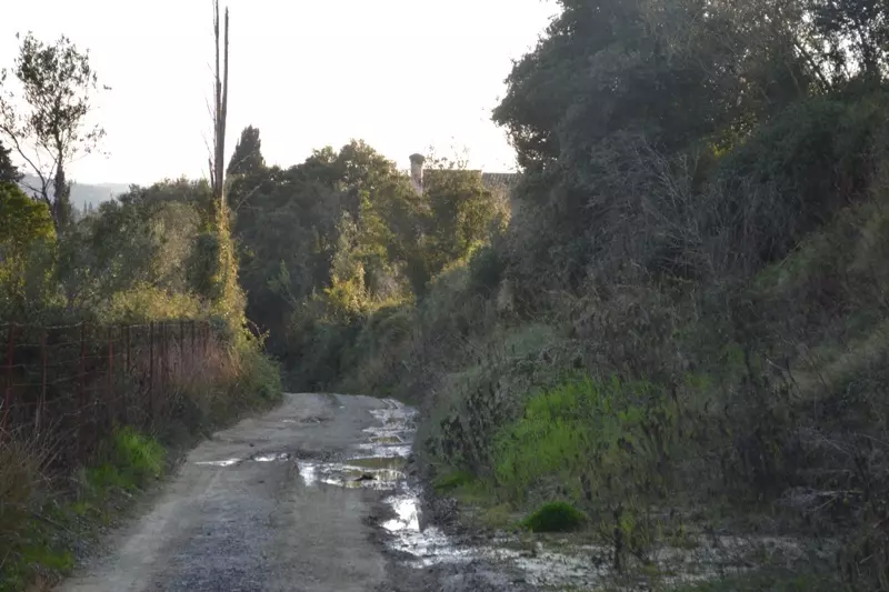 Land In Corfu, Greece