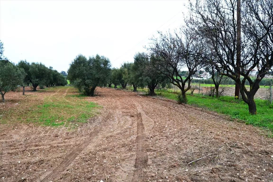 Land In Nea Propontida, Greece