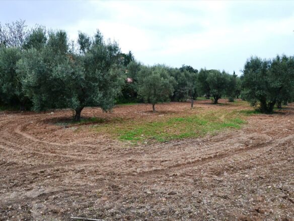 Land In Nea Propontida, Greece