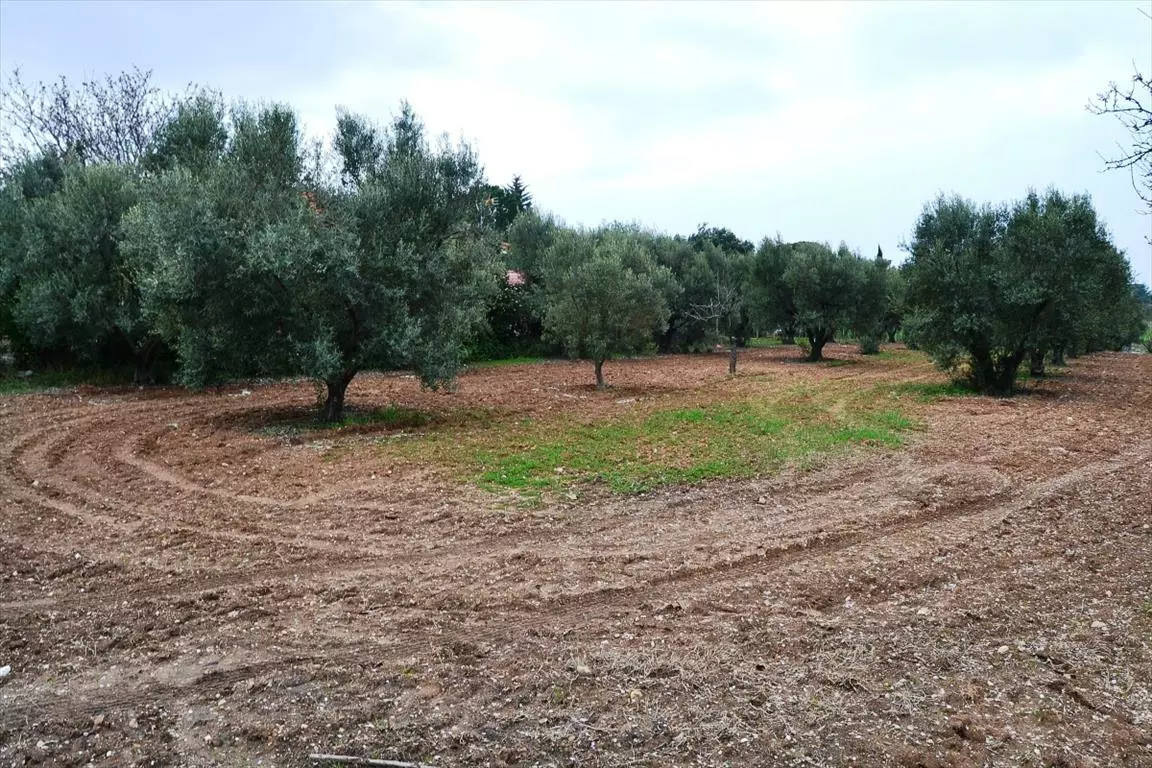 Land In Nea Propontida, Greece
